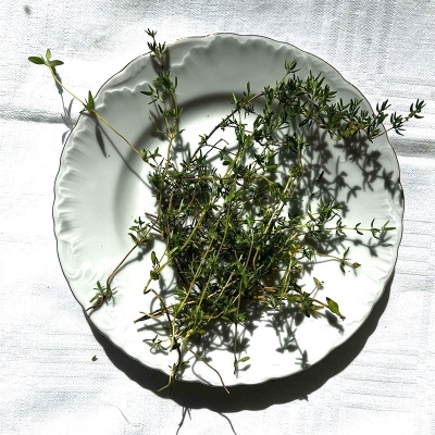 Čiobrelis-ŽOLELĖS-traku-lauku-uoga