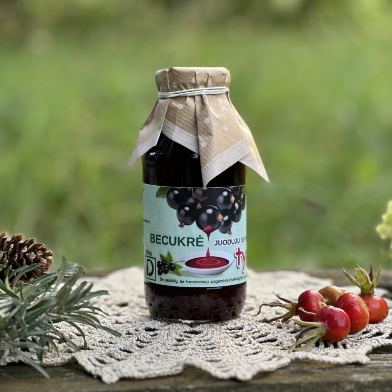 Becukrė juodųjų serbentų tyrė 300ml (Ribes