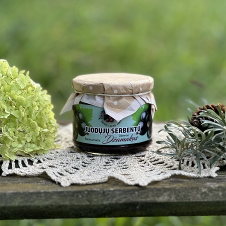Juodųjų serbentų desertas "Džamakas" 300ml (Ribes